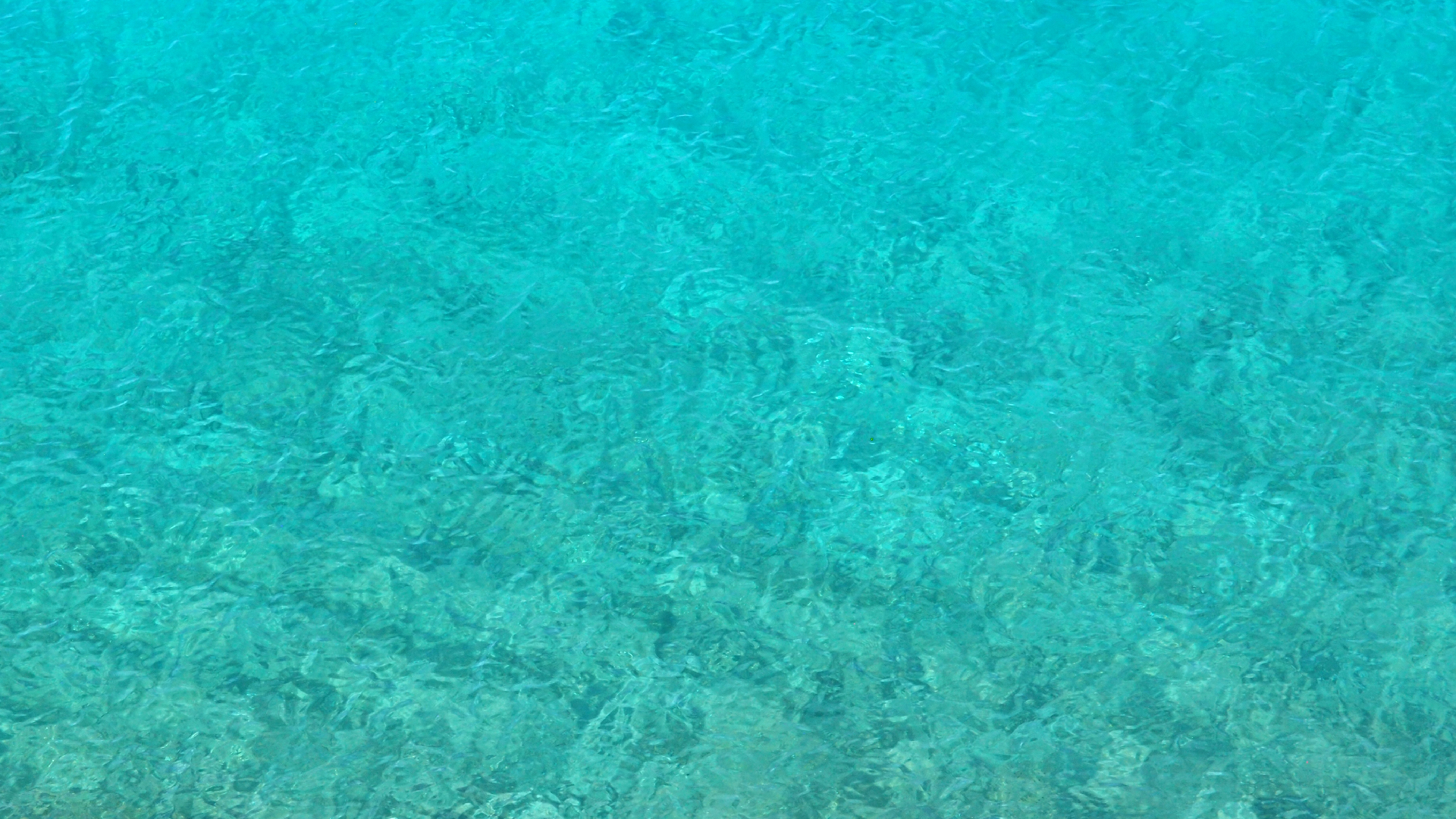 2022-10-22 09 Uhr 55 Wellen (Foto, Video)